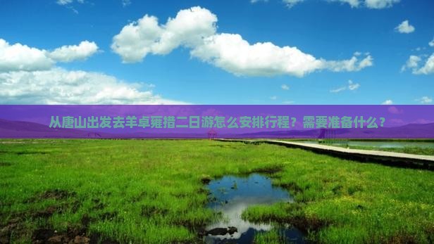 从唐山出发去羊卓雍措二日游怎么安排行程？需要准备什么？
