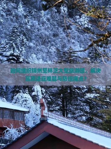 如何组织锦州至林芝大型旅游团，解决高原适应难题与防控痛点？