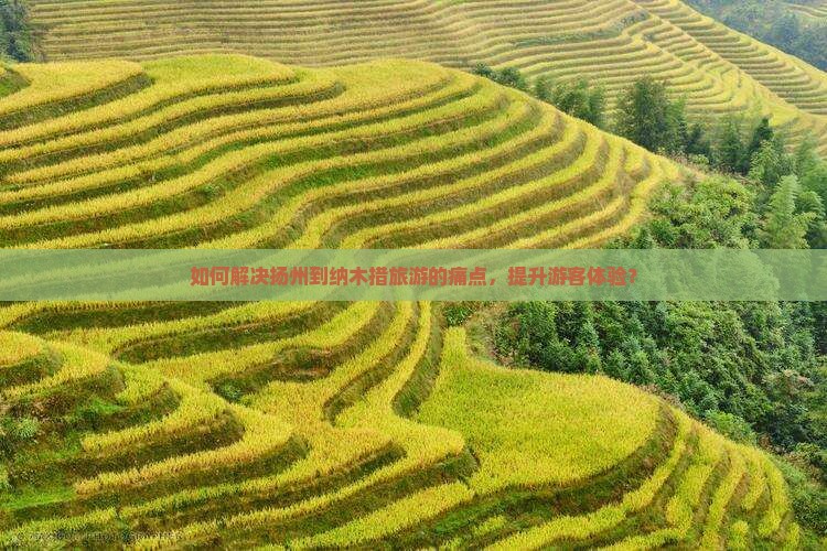如何解决扬州到纳木措旅游的痛点，提升游客体验？