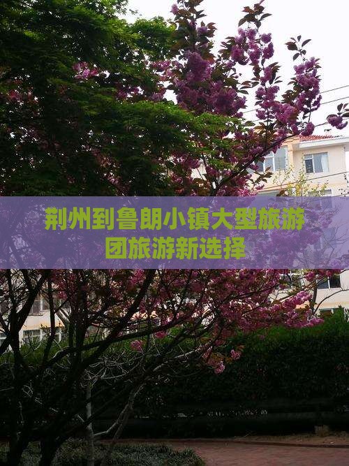 荆州到鲁朗小镇大型旅游团旅游新选择