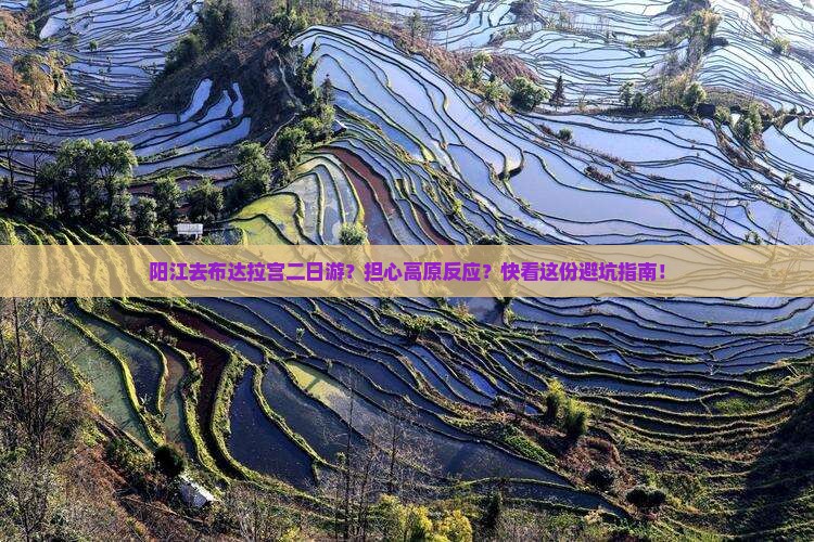 阳江去布达拉宫二日游？担心高原反应？快看这份避坑指南！
