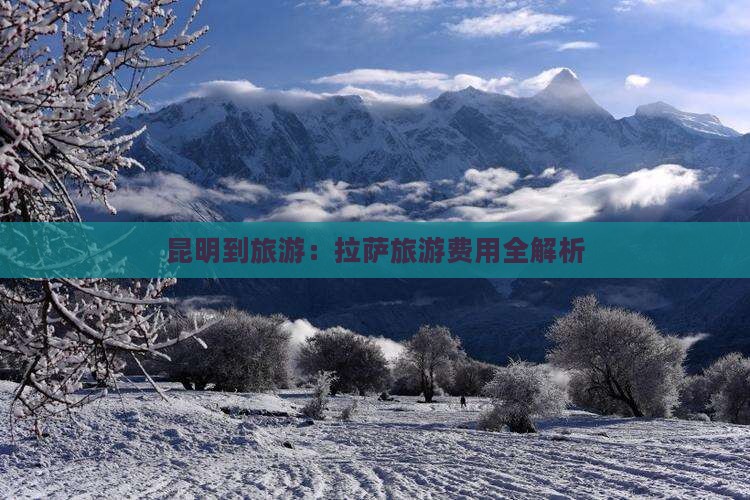 昆明到旅游：拉萨旅游费用全解析