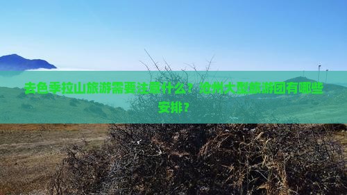 去色季拉山旅游需要注意什么？沧州大型旅游团有哪些安排？