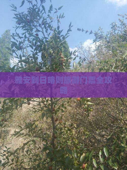 雅安到日喀则旅游门票全攻略