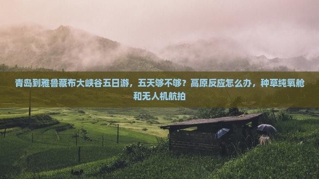 青岛到雅鲁藏布大峡谷五日游，五天够不够？高原反应怎么办，种草纯氧舱和无人机航拍