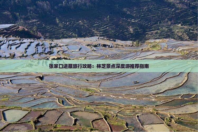 张家口进藏旅行攻略：林芝景点深度游推荐指南