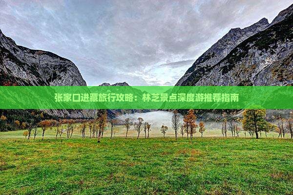 张家口进藏旅行攻略：林芝景点深度游推荐指南