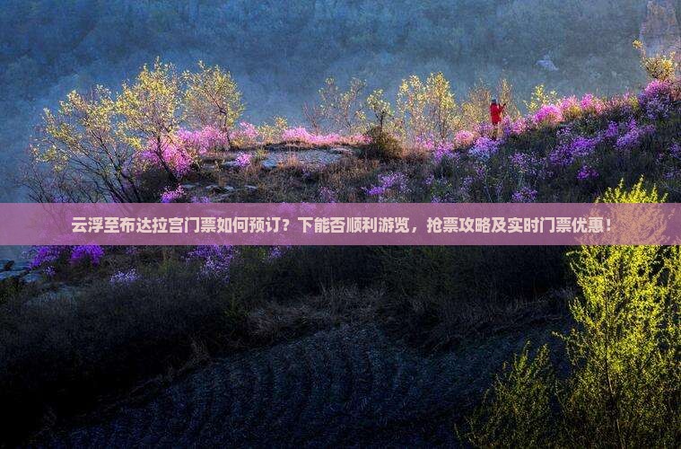 云浮至布达拉宫门票如何预订？下能否顺利游览，抢票攻略及实时门票优惠！