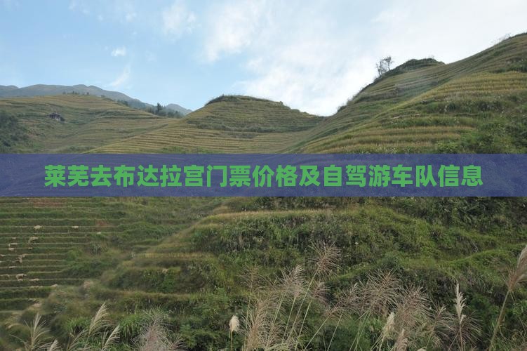 莱芜去布达拉宫门票价格及自驾游车队信息