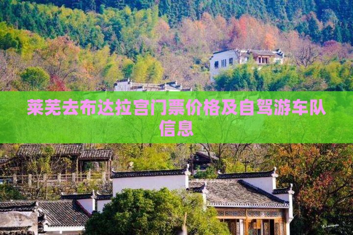 莱芜去布达拉宫门票价格及自驾游车队信息