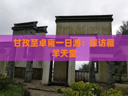 甘孜至卓雍一日游：探访藏羊天堂