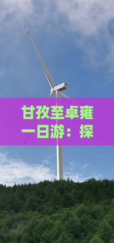甘孜至卓雍一日游：探访藏羊天堂