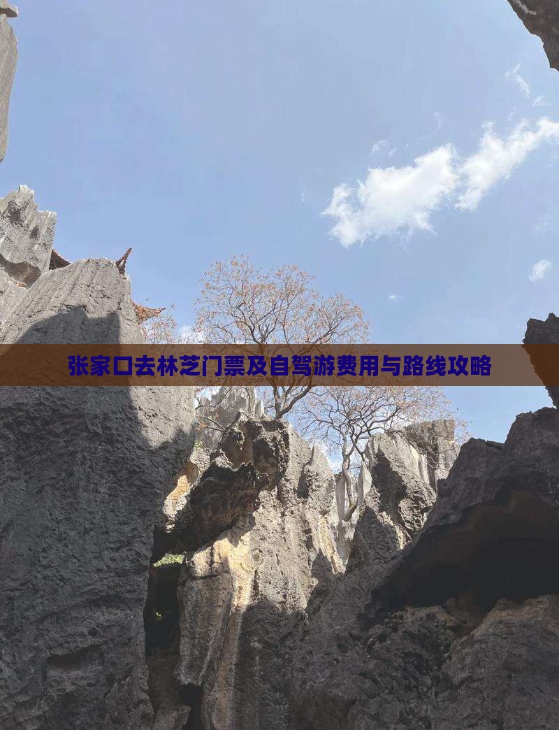 张家口去林芝门票及自驾游费用与路线攻略