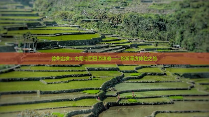 德州出发：大昭寺四日游攻略——旅游深度体验之旅