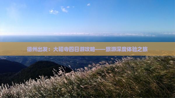 德州出发：大昭寺四日游攻略——旅游深度体验之旅