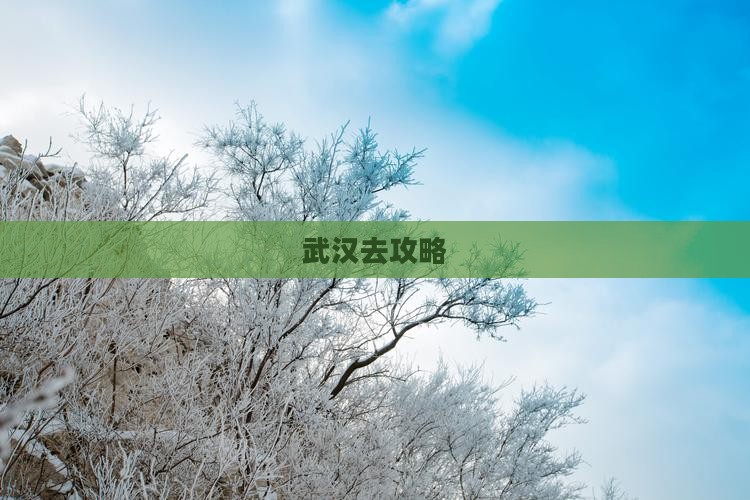 武汉去攻略