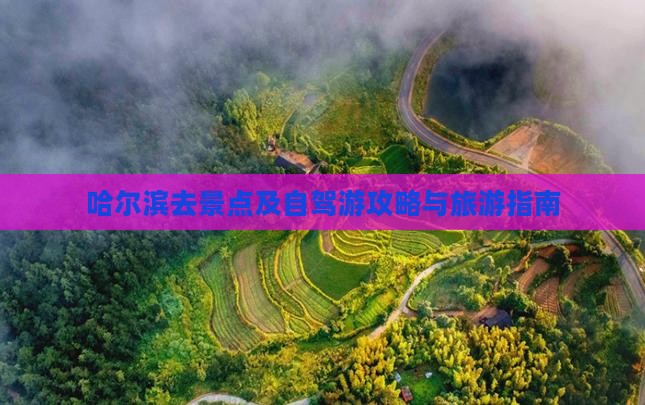 哈尔滨去景点及自驾游攻略与旅游指南