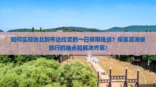 如何实现张北到布达拉宫的一日极限挑战？探索高海拔旅行的痛点和解决方案！