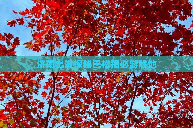 济南出发探秘巴松措必游胜地