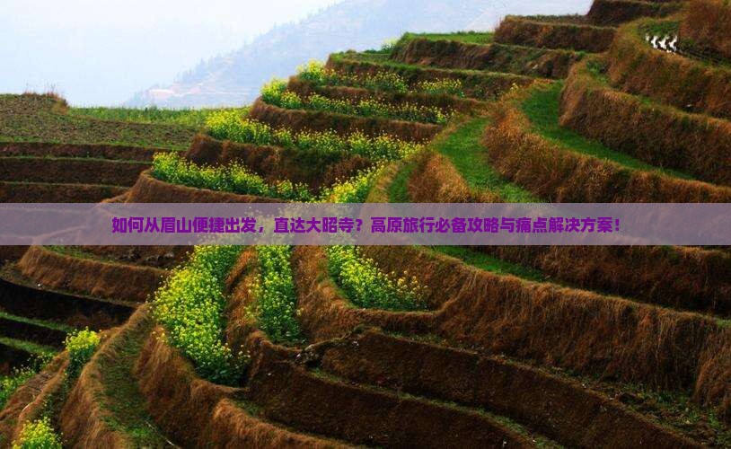 如何从眉山便捷出发，直达大昭寺？高原旅行必备攻略与痛点解决方案！