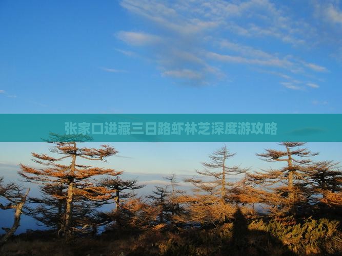张家口进藏三日路虾林芝深度游攻略