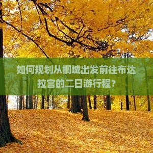 如何规划从桐城出发前往布达拉宫的二日游行程？