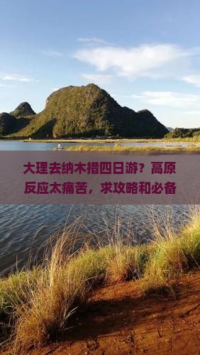 大理去纳木措四日游？高原反应太痛苦，求攻略和必备神器