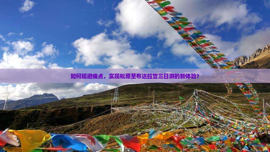 如何规避痛点，实现松原至布达拉宫三日游的新体验？