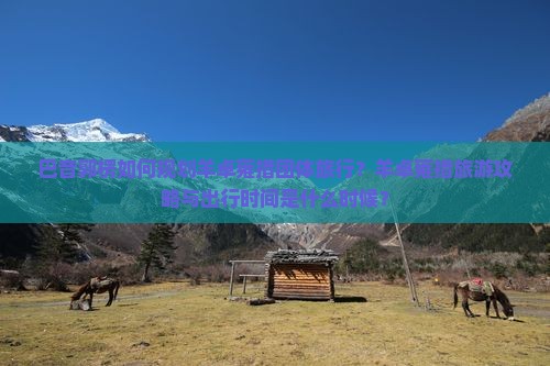 巴音郭楞如何规划羊卓雍措团体旅行？羊卓雍措旅游攻略与出行时间是什么时候？