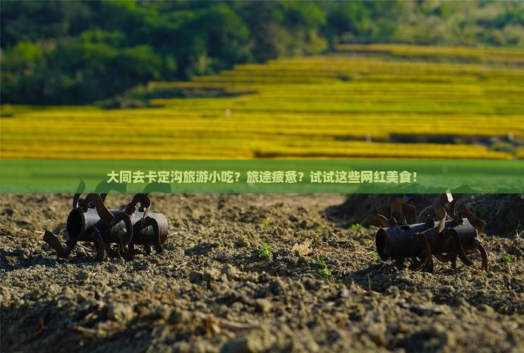 大同去卡定沟旅游小吃？旅途疲惫？试试这些网红美食！
