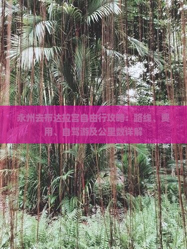 永州去布达拉宫自由行攻略：路线、费用、自驾游及公里数详解