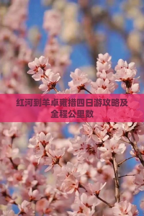 红河到羊卓雍措四日游攻略及全程公里数