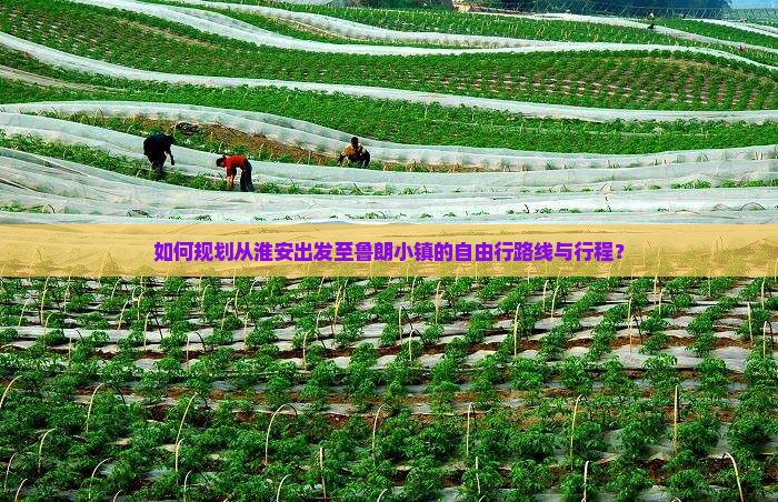 如何规划从淮安出发至鲁朗小镇的自由行路线与行程？