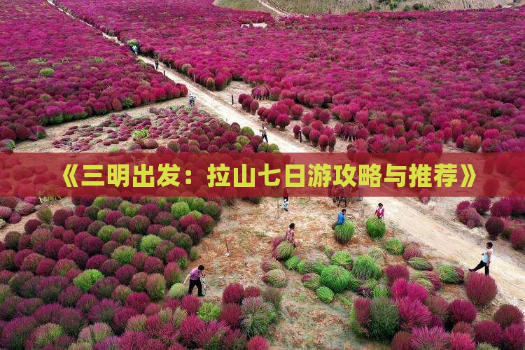 《三明出发：拉山七日游攻略与推荐》