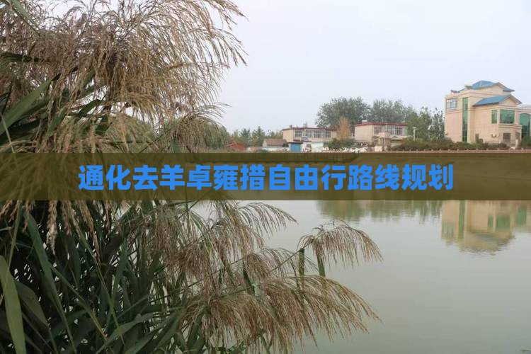 通化去羊卓雍措自由行路线规划