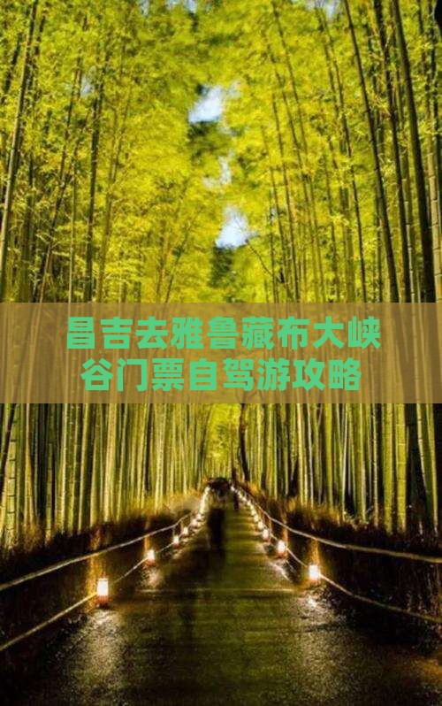 昌吉去雅鲁藏布大峡谷门票自驾游攻略