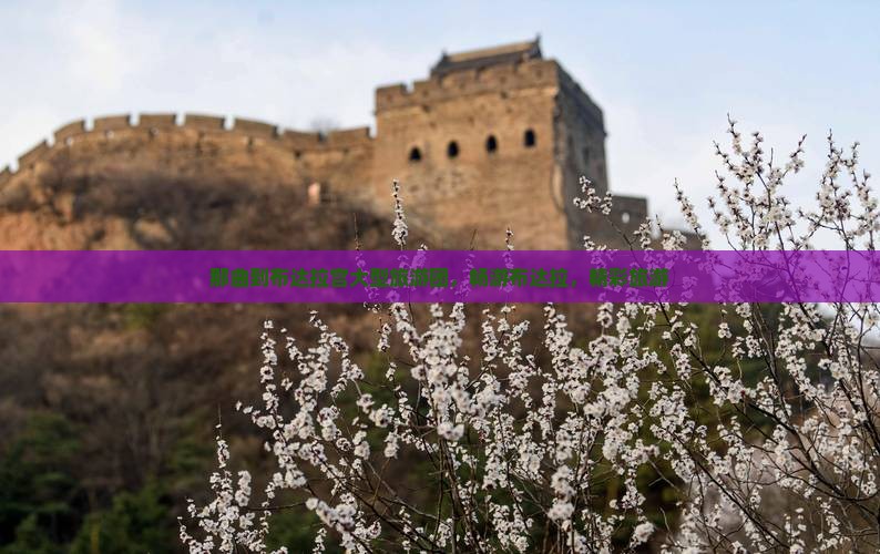 那曲到布达拉宫大型旅游团，畅游布达拉，精彩旅游