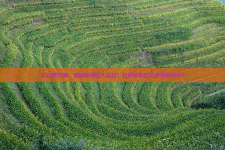 去拉萨旅游，诸城有哪些人去过？拉萨有哪些景点值得打卡？
