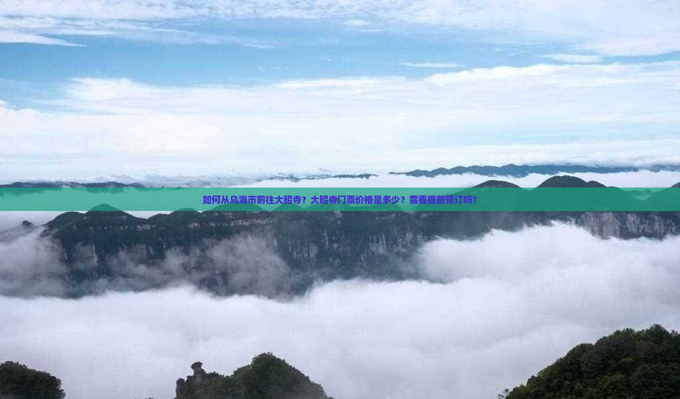如何从乌海市前往大昭寺？大昭寺门票价格是多少？需要提前预订吗？