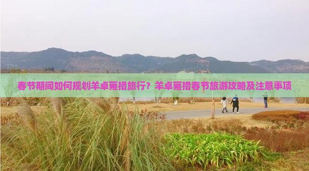 春节期间如何规划羊卓雍措旅行？羊卓雍措春节旅游攻略及注意事项