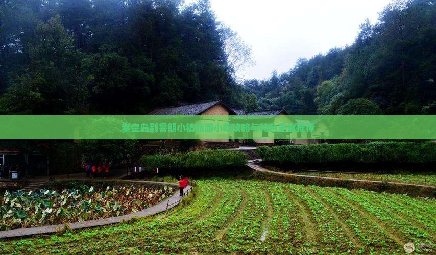 秦皇岛到鲁朗小镇旅游小吃攻略与特色美食推荐