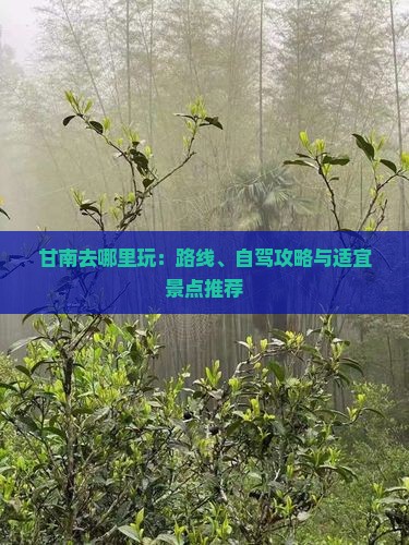 甘南去哪里玩：路线、自驾攻略与适宜景点推荐