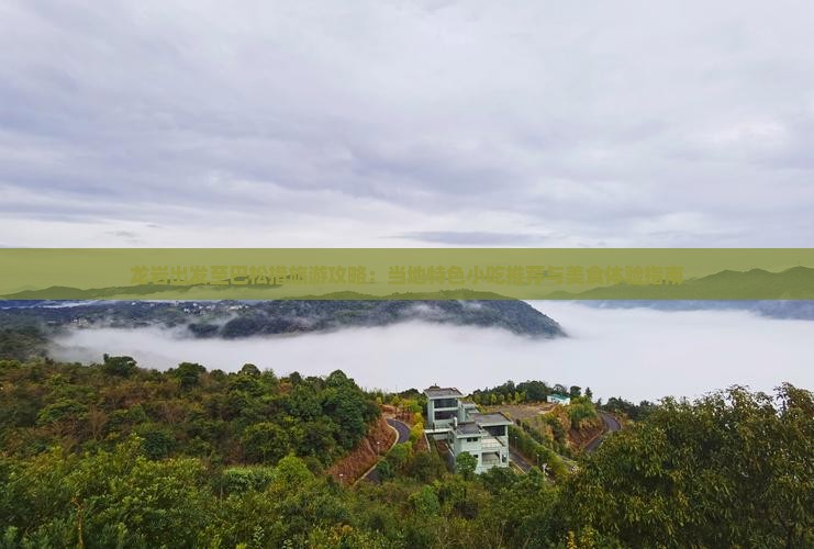 龙岩出发至巴松措旅游攻略：当地特色小吃推荐与美食体验指南
