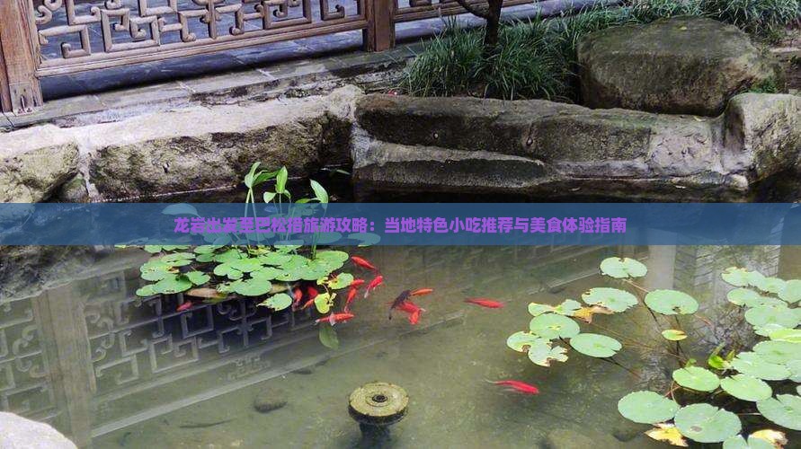 龙岩出发至巴松措旅游攻略：当地特色小吃推荐与美食体验指南