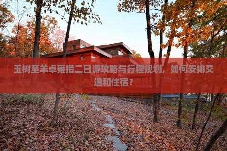 玉树至羊卓雍措二日游攻略与行程规划，如何安排交通和住宿？
