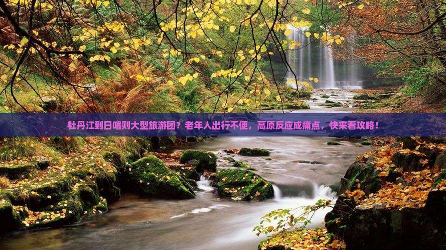 牡丹江到日喀则大型旅游团？老年人出行不便，高原反应成痛点，快来看攻略！