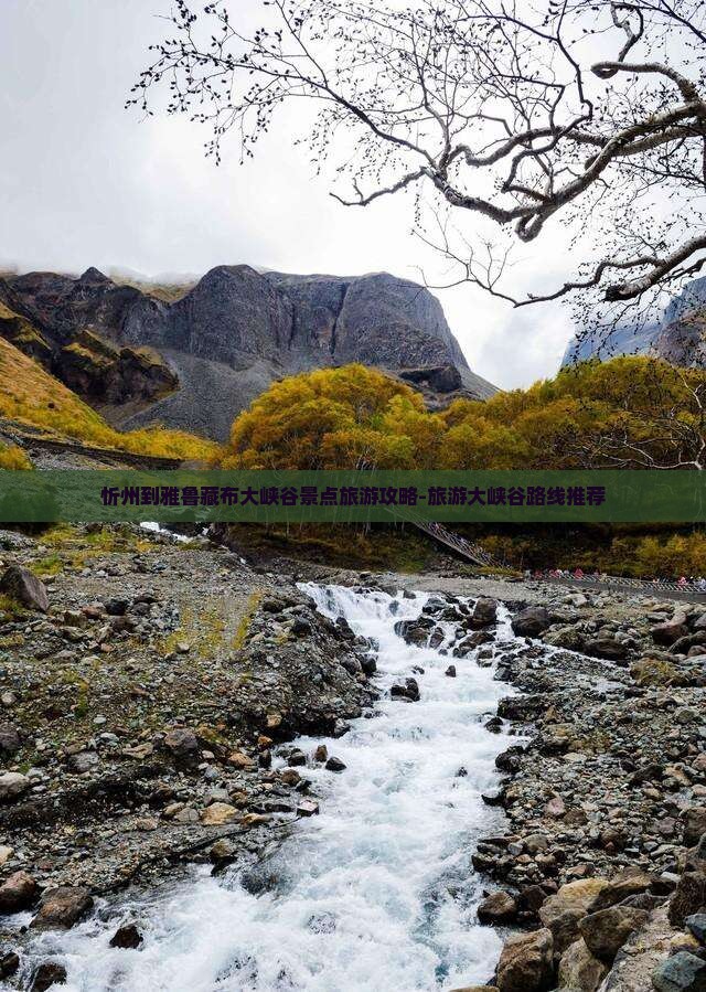 忻州到雅鲁藏布大峡谷景点旅游攻略-旅游大峡谷路线推荐