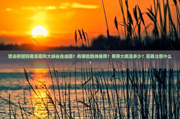 想去鹤壁到雅鲁藏布大峡谷自由团？有哪些路线推荐？费用大概是多少？需要注意什么？