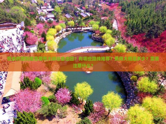 想去鹤壁到雅鲁藏布大峡谷自由团？有哪些路线推荐？费用大概是多少？需要注意什么？