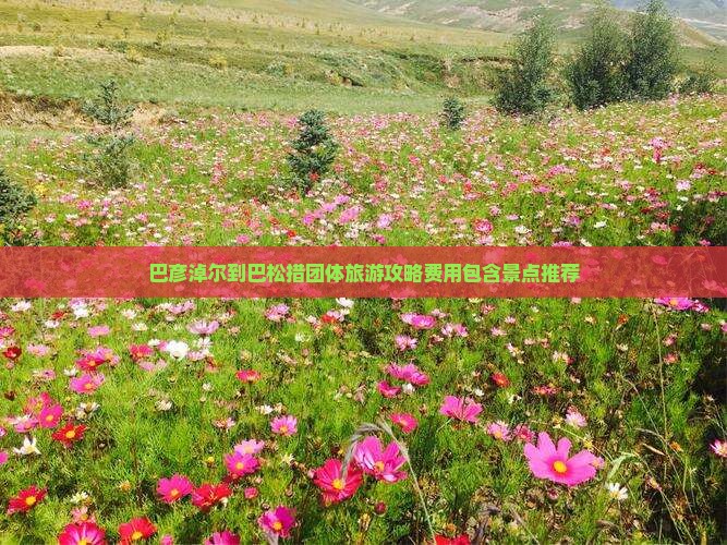 巴彦淖尔到巴松措团体旅游攻略费用包含景点推荐